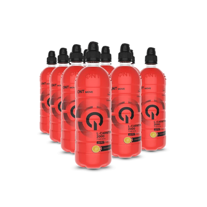 L-Carnitine Drink, 12 x 700 ml